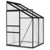 Greenhouse Anthracite Aluminum 95.3 ft¬≥