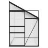 Greenhouse Anthracite Aluminum 229.5 ft¬≥