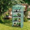 Garden Greenhouse Hot House Tomato Plant Warm House