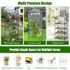 Garden Greenhouse Hot House Tomato Plant Warm House