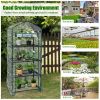Garden Greenhouse Hot House Tomato Plant Warm House